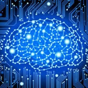 Neuromatriz del dolor