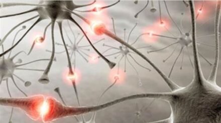 Sinapsis entre neuronas, llevando el mensaje del dolor